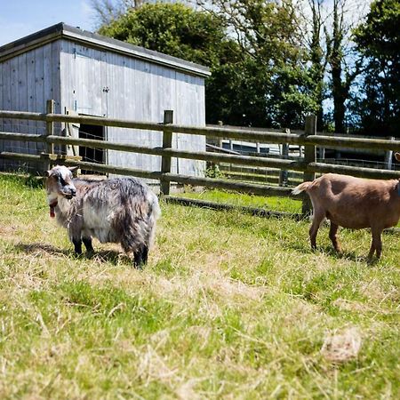 Sharlands Farm Holiday Cottages Bude Extérieur photo