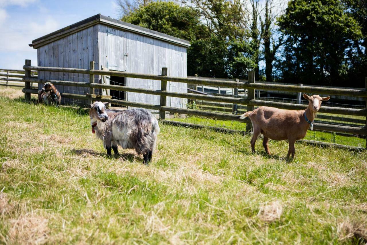 Sharlands Farm Holiday Cottages Bude Extérieur photo